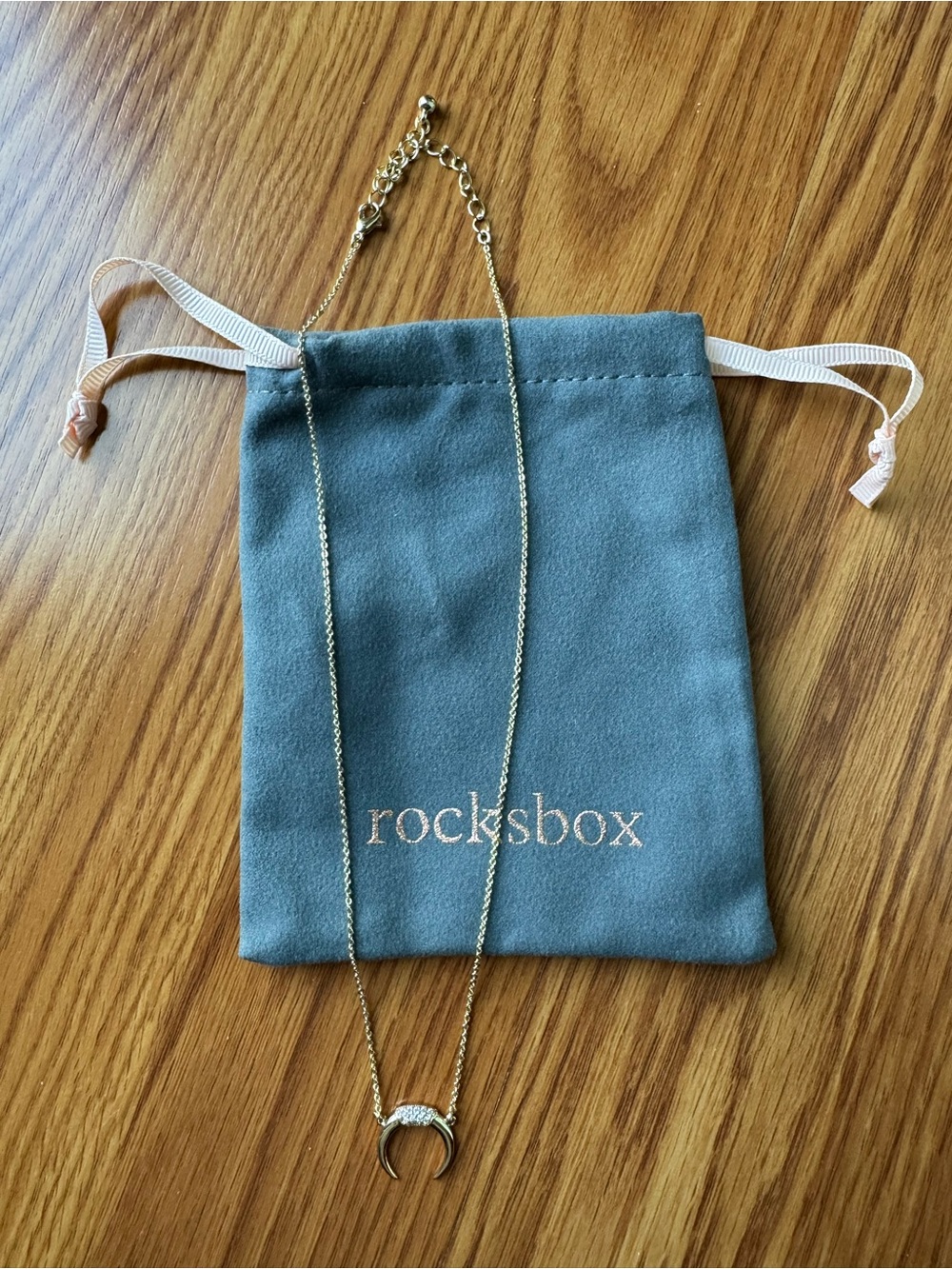 Rocksbox Gold Curved Horn Necklace with Pavé Detail